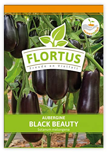 FLORTUS Aubergine Black Beauty | Gemüsesamen | Auberginensamen | Samen zur Anzucht für Garten, Balkon, Küche & Fensterbank