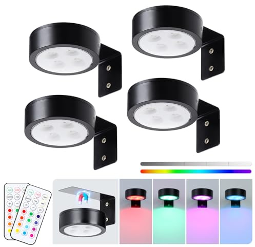 KELUOLY 4-Pack Wireless Battery Operated Painting Light with Remote Control,13 Color RGB Magnetic Led Art Picture Lights for Wall, Dimmable and Timer Poster Light, Wall Decor Black Display Light