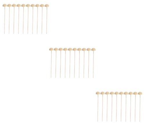 Amosfun 30 Piezas Palos sin de Aceite Esencial Varillas de Incienso varitas de Incienso difusores para aceites Esenciales Palos de Flores Barra de Aceite Esencial Palos difusores