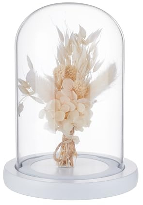 NBEADS Kuppelglocke Aus Glas, Glaskuppelabdeckung Für Ewige Blumen Mit Holzsockel Fusselfreies Design Bogenglocke Glasglocke Für Tafelaufsätze Pflanzen Steine Proben Dekorationen, 1.25x17cm