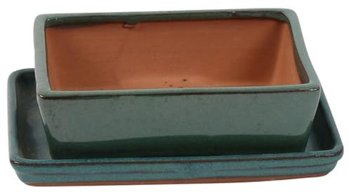 Bonsai Pot with Saucer - Rectangular Teal Green 20cm - Perfect for Bonsai Trees and Succulents