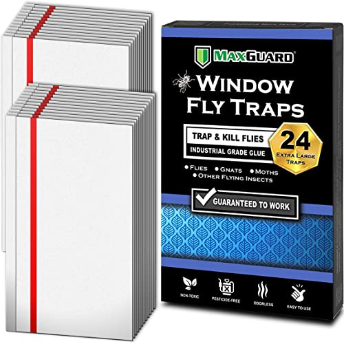 MaxGuard Flugfällor för fönster (24 XL-fällor) fånga och döda husflugor, flygande insekter och insekter. Giftfri klibbig limfällor flugdödare klar remsa insektsfångare säker ingen zapping med zapper |