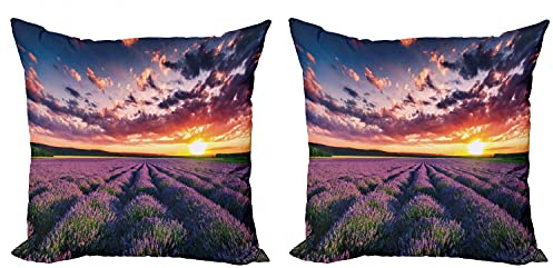 Lunarable Lavender Throw Pillow Cushion Cover Pack of 2, Blooming Fields in Endless Rows Agriculture Aromatherapy Rural Countryside Image, Zippered Double-Side Digital Print Decor, 24, Multicolor