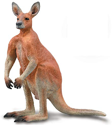 CollectA Red Kangaroo - Male
