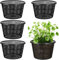 HpLive 5 vasi idroponici a rete da 21 cm, grandi cesti per piante acquatiche, contenitori in plastica per piante da stagno, orchidee da giardino