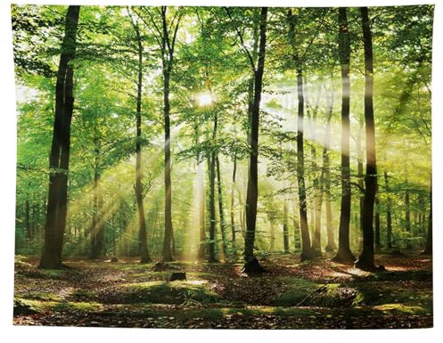 MIGIFTDY Waldbaum Wandteppich Extra Großer Nebliger Wald Wandbehang für Home Office Dorm Indoor und Outdoor Dekoration 150 cm x 200 cm (B)