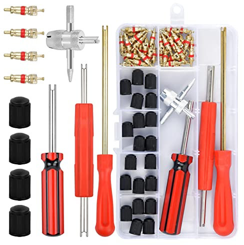 Vesaneae 64 Stücke Reifenventil Kern Werkzeug, Teiliges Reifenventil-Entferner, Ventilwerkzeuge, Autoventil Ventilkerne, Reifenventil Kappen, Autoventil Reparatur Werkzeug für Auto Motorrad Fahrrad