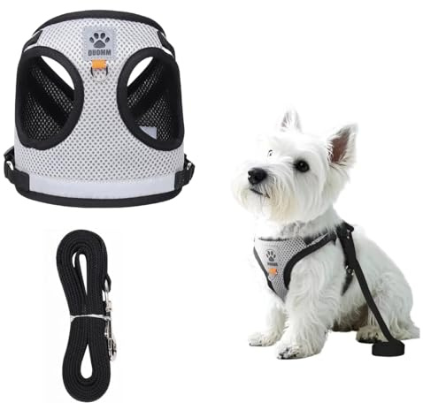 Cat Harness and Lead Set, Adjustable Kitten Harness with Cat Leash, Escape Proof Reflective Soft Mesh Puppy Vest for Small Cat & Dog