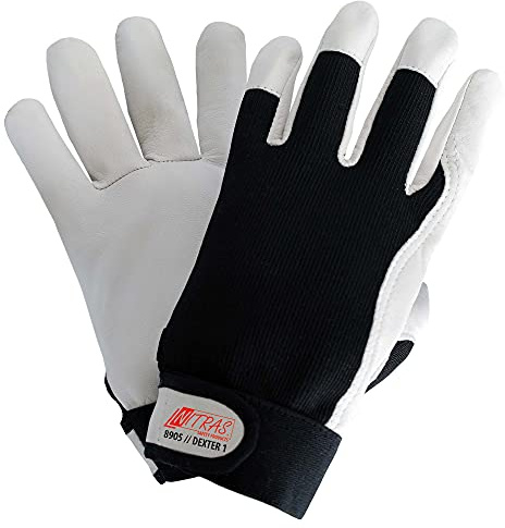 6Paar Handschuhe Nitras -Dexter 1- Schwarz, 7