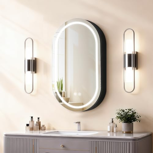 Janboe Oval Medicine Cabinet with Light,LED Mirror Cabinet,USB Shaver Socket,Internal Light,Steel with Powder Coating,Soft Closing Hinge,41×71cm