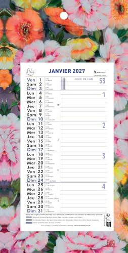 Exacompta - Calendrier mensuel Sophie Adde 15,5x28,5cm sur plaque - 2027 | 12 Feuilles détachables, Visuel aléatoire, Carte perforée pour fixation murale, Fabriqué en France