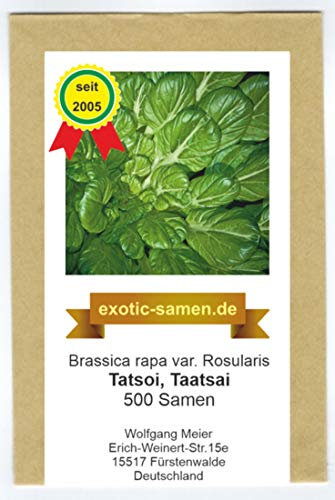 Asia Gemüse - Tatsoi - Taatsai - Rosetten-Pak Choi - 500 Samen