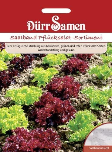 Saatband Pflücksalat Samen Mischung Salat Gemüse Saatgut Garten Hochbeet Salatsamen 5 m Saatband Dürr Samen