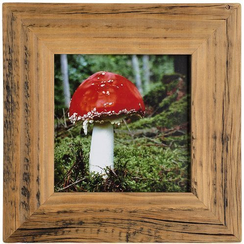 Mein Landhaus Cornici Real Alt-Holz Stile Vintage, Rustico - Fatto a Mano Pezzi Unici in Marrone-Scuro - Marrone, 20 X 30 cm