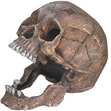 Nobby Aqua Ornaments Totenkopf, 13,5 x 20 x 16,5 cm, 1 Stück