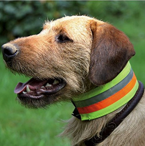 Signal- und Warnhalsung reflektierend, 3-Farbiges Halsband AKAH, Größen Halsband reflektierend:30 cm Halsumfang