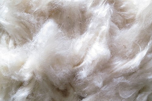 pemmiproducts Füllwatte 5 kg, 100% Kapok Watte, beige, sehr fein, kompostierbar, waschbar, Bastelwatte, Füllmaterial