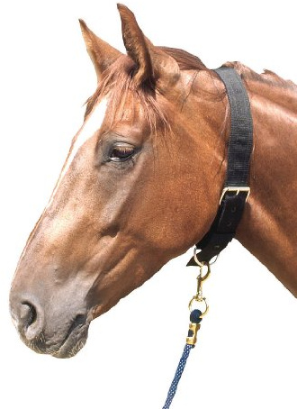 AMKA, Collare per Cavallo