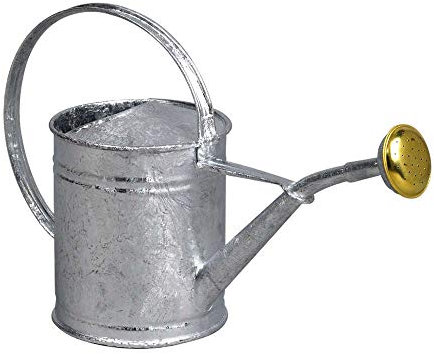 GUILLOUARD 80300 Petit Arrosoir Acier Galvanisé 1L, Gris