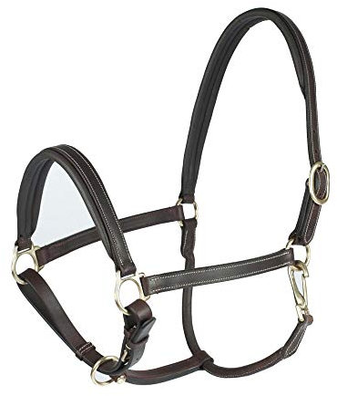 HORZE Largo Lederhalfter, Braun, C