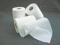 10 Rollen Windelvlies Sparpaket