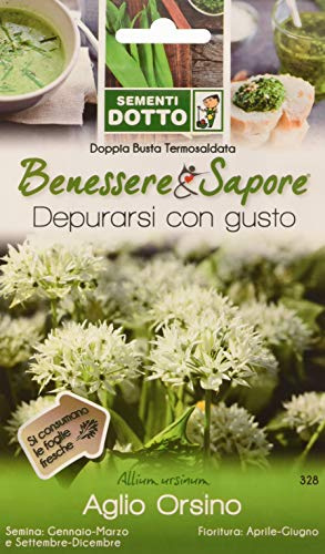 Sdd DT BN_Aglio ORSINO Semi, Bianco, 0.02x20.2x12.2 cm