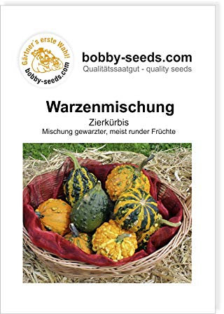 Warzenmischung Zierkürbis von Bobby-Seeds, Portion