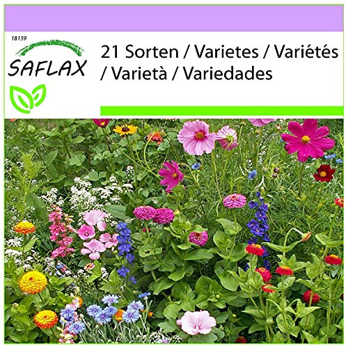 SAFLAX - Cottage garden - 1000 semi - 21 Sorten