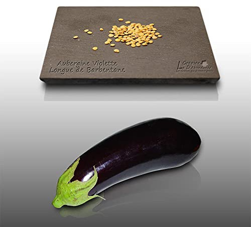 100 graines à semer - Le Grenier d'Abondance - AUBERGINE Violette de Barbentane - Solanum Melongena