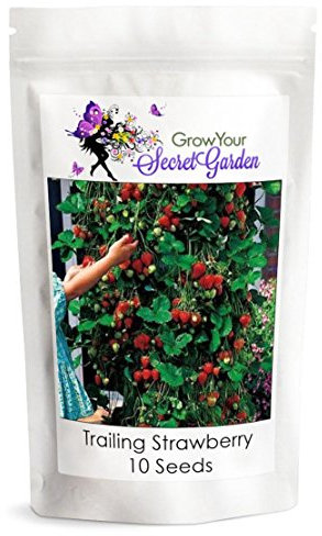 Grow your secret garden Trailing Strawberry Seeds - Runners up to 1 m, Delicious Crop!