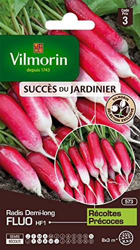 Vilmorin 3887443 Pack de Graines Radis Fluo HF1 Création