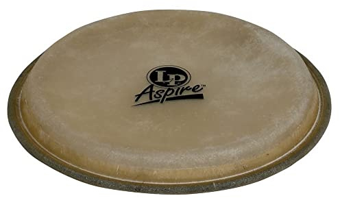 LP Aspire 8 Bongo Head