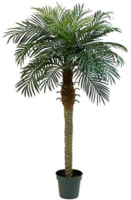 artplants.de Konstgjord Phoenix-palm, 21 palmblad, 150 cm