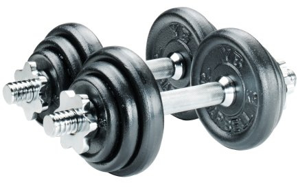 York 20kg Black Cast Iron Dumbell Set