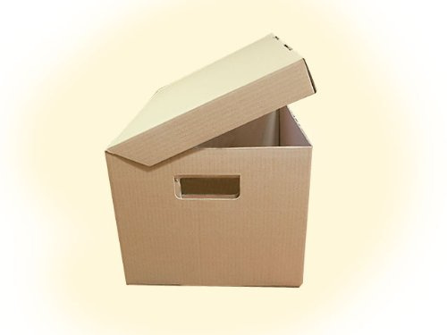 Globe Packaging 10 x QUALITY HIGH GRADE A4 ARCHIVE STORAGE CARDBOARD BOXES, 15x12x9 (395x310x255mm)