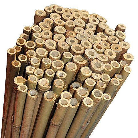 Elixir Gardens Strong Heavy Duty Professional Bamboo Plant Support Garden Canes | All lengths in stock 2, 3, 4, 5, 6, 7 & 8ft | Choose from a range of pack sizes from 10 to 250 | 7ft x 20