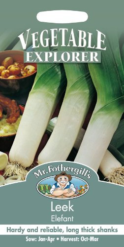 Mr Fothergills - Pictorial Packet - Vegetable - Leek Elefant - 500 Seeds
