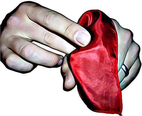 ProTriXX Vanishing Silk Komplett-Set, Verschwindendes Tuch Zaubern, Genialer Zaubertrick, Zaubertricks