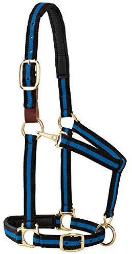 Weaver Leather Padded Breakaway Adjustable Chin and Throat Snap Halter, 1 Average Horse or Yearling Draft, Blue Striped