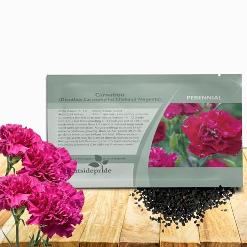 Outsidepride Magenta Carnation Seeds - 1000 Pcs Perennial, Easy to Grow Flower Seeds for Planting with Fragrant Blooms, Ideal for Pollinators, Cutting Gardens, Bouquets, & Floral Arrangements