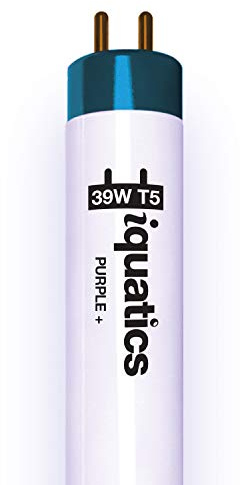 iQuatics Aquarium Fish Tank Fluorescent Light Bulb T5, Purple, 39w 850mm 34