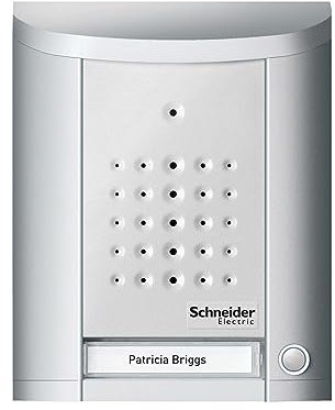 Schneider Electric Ritto Türstation, Entravox, Audio für 1-Familienhaus, Gegensprechanlage mit Beleuchtung und Klingeltaste, Aufputz, Außeneinheit, silber eloxiert, Artikelnummer 1840120