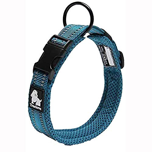 Truelove Hundträningshalsband TLC5011 reflekterande premiumspänne nylonband husdjur hundhalsband, högkvalitativt nylonband ingen kvävning grundläggande halsband nu tillgängliga (S, blå)