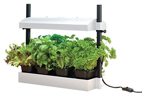 Garland GAL62GWM Micro Grow Light Garden Propagator, White, 50x20x20 cm