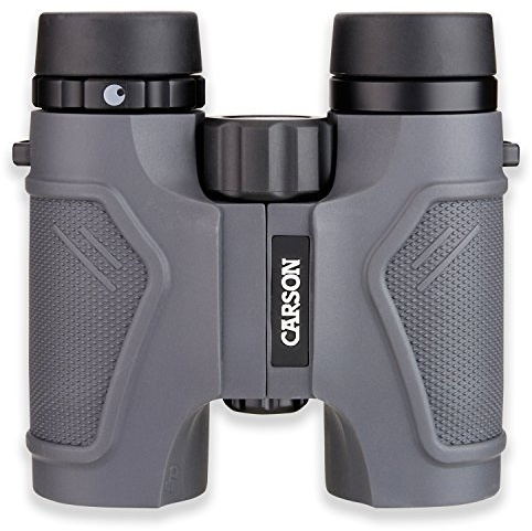 Carson Full-Size Fernglas, 8x32mm, wasserdicht und beschlagfrei, HD-Optik (TD-832)