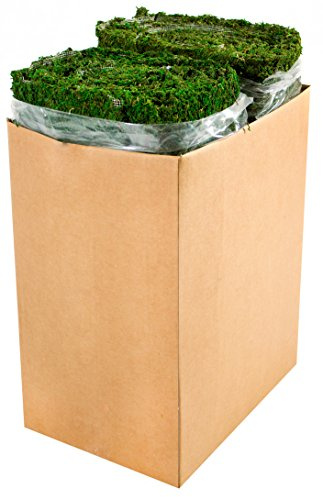 SuperMoss (22432 InstantGreen Moss Mat, Fresh Green, 1.5ft x 48ft