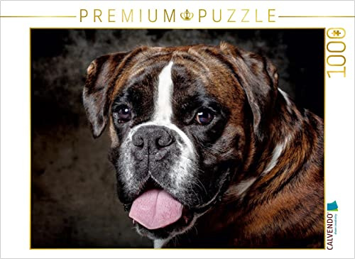 CALVENDO Puzzle Charakter Boxer 1000 Teile Puzzle quer | Lege-Größe cm Foto-Puzzle für glückliche Stunden