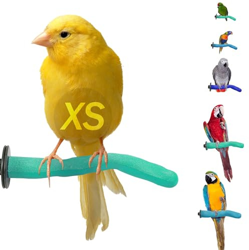 Sweet Feet & Beak Safety Pumice Bird Perch, X-Small 1/2 X 6, Lightweight Grinding Bird Perches for Cage - Bird Nail Trimming Perch for Healthy Beak & Feet - Multi-Size & Color Parrot Stand - Green