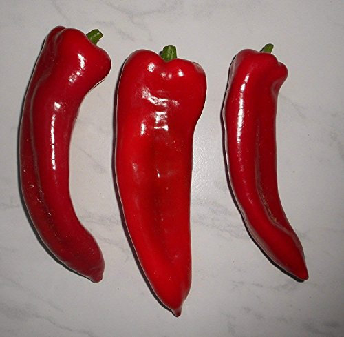 10 ungherese Big semi di peperoni, by Samenchilishop – semi store-