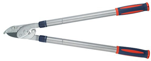 Spear & Jackson 4902RSS Sécateur télescopique à enclume en acier Razorsharp